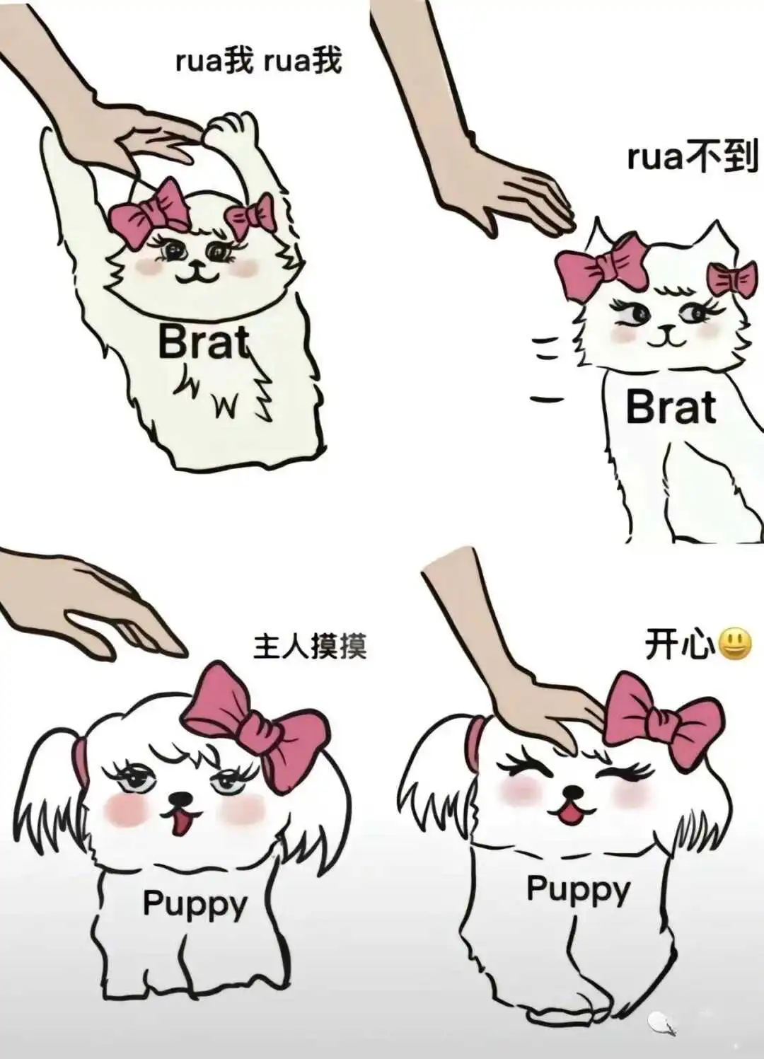 西檬之家-K9是什么？解析字母圈宠物扮演与SSC安全准则