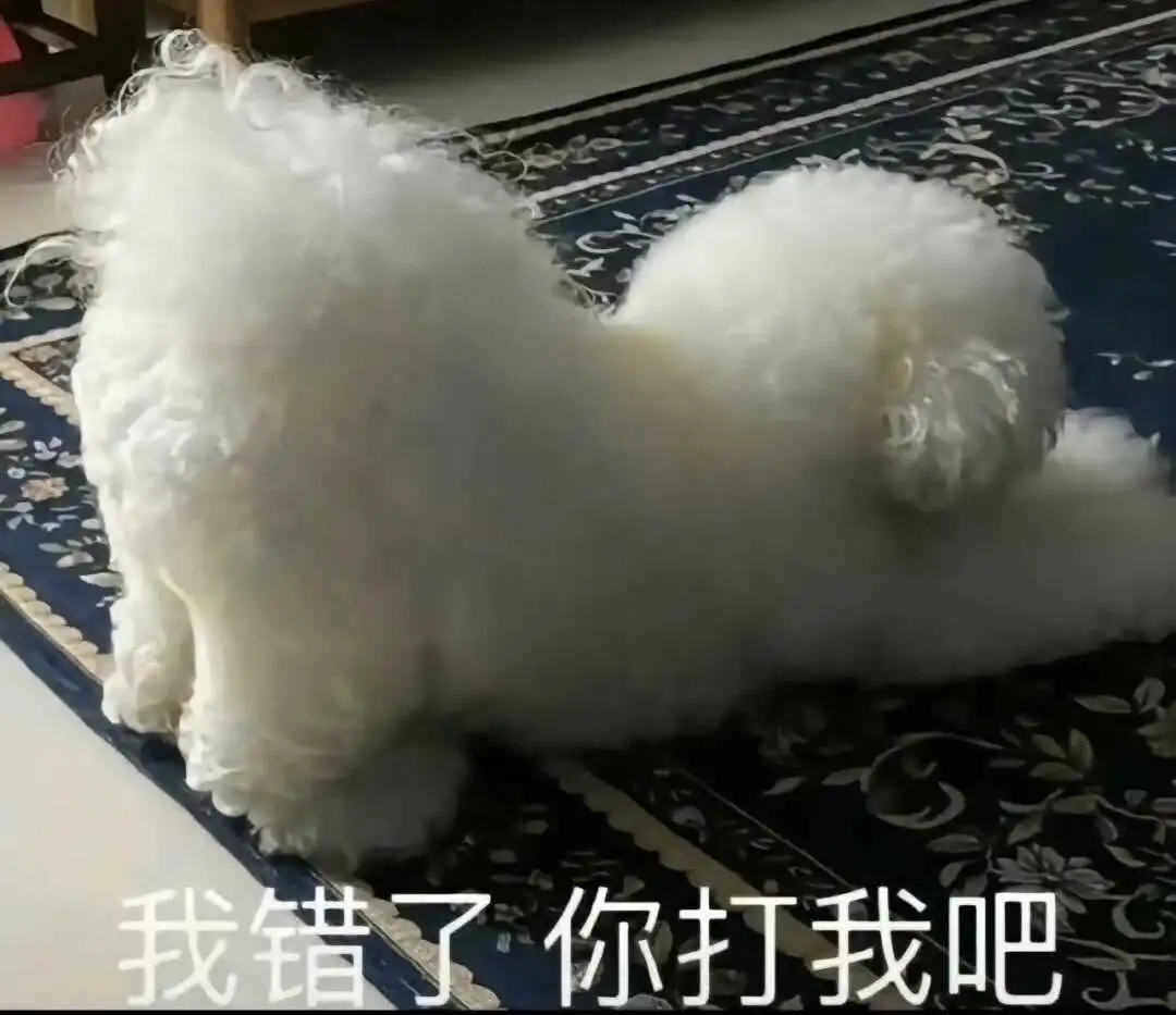 【西檬之家】BDSM字母圈的DOM是什么意思？