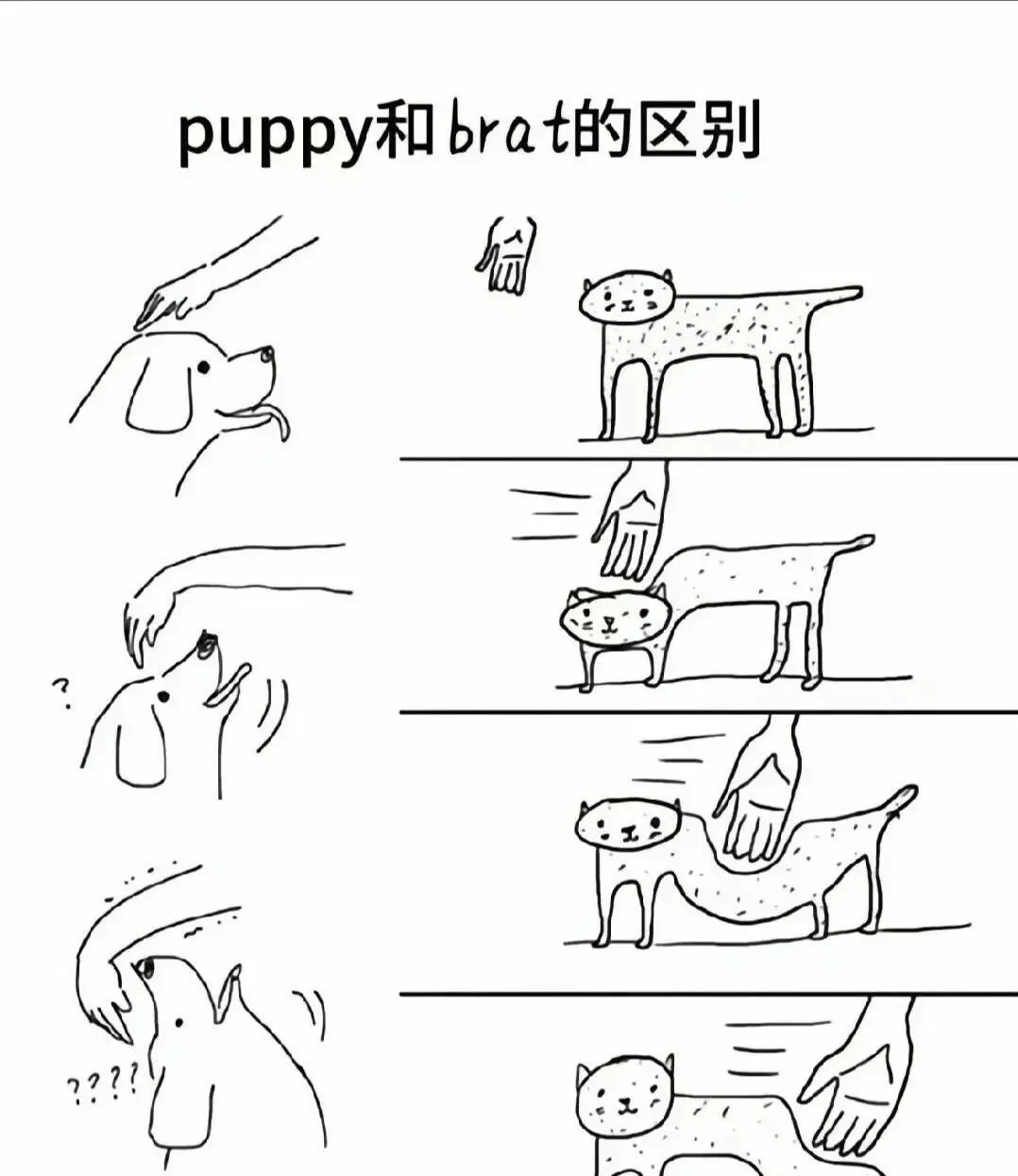 西檬之家-字母圈的Dom是什么意思？新手入圈必读指南