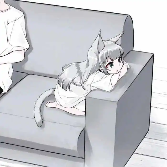 k8猫系 - 微信图片_20250725204754