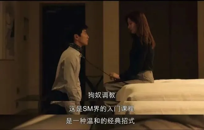 【西檬之家】Sub是什么？理解字母圈臣服者角色与DS关系