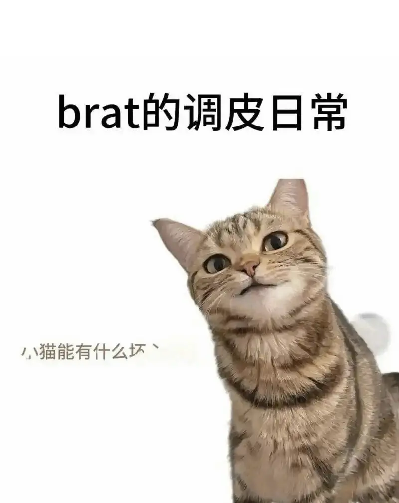 [西檬之家]-恋足癖是什么？在字母圈中的表现及注意事项
