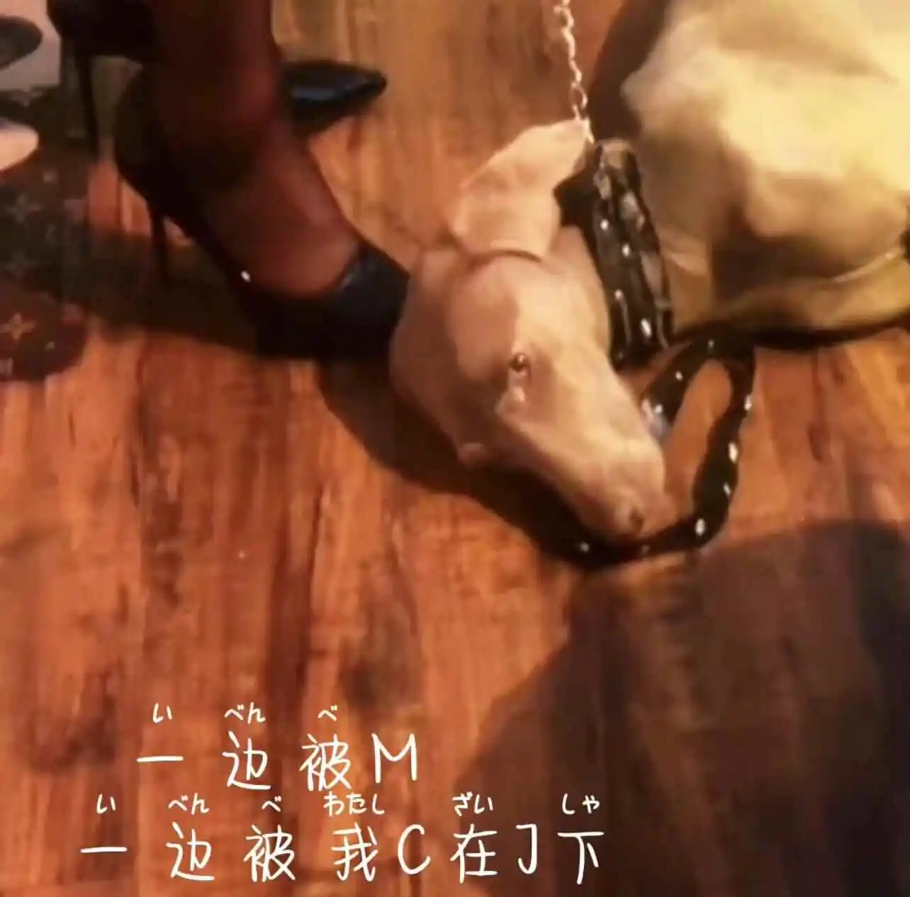 西檬之家-字母圈新人如何正确理解BDSM亚文化