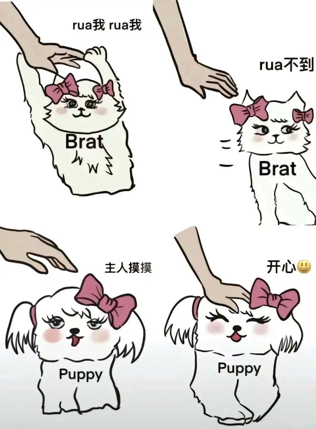 【西檬之家】字母圈新手必看：BDSM核心概念与入圈指南