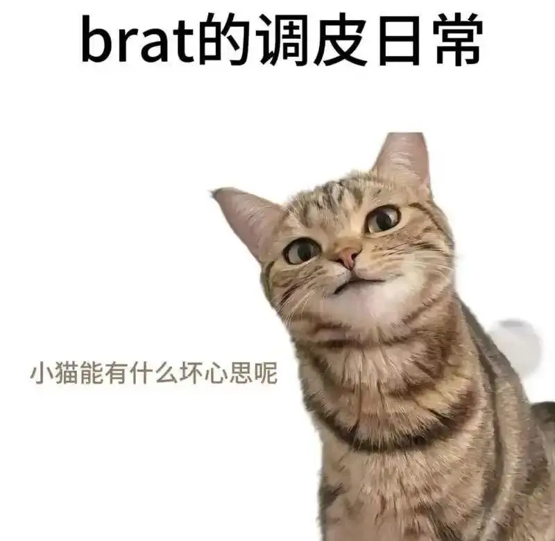 西檬之家-DT是什么？BDSM中的Dirty Talk实践指南