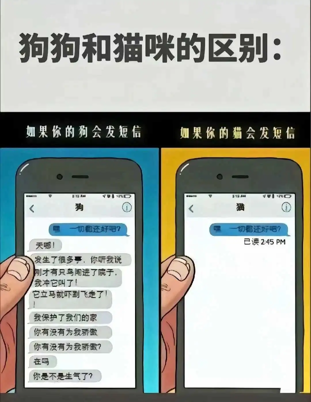 OTK - 微信图片_20250713011414