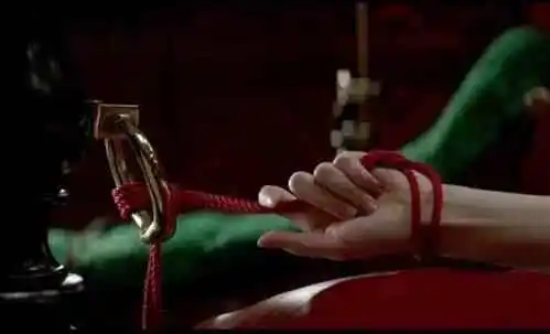 【西檬之家】BDSM字母圈的DOM是什么意思？