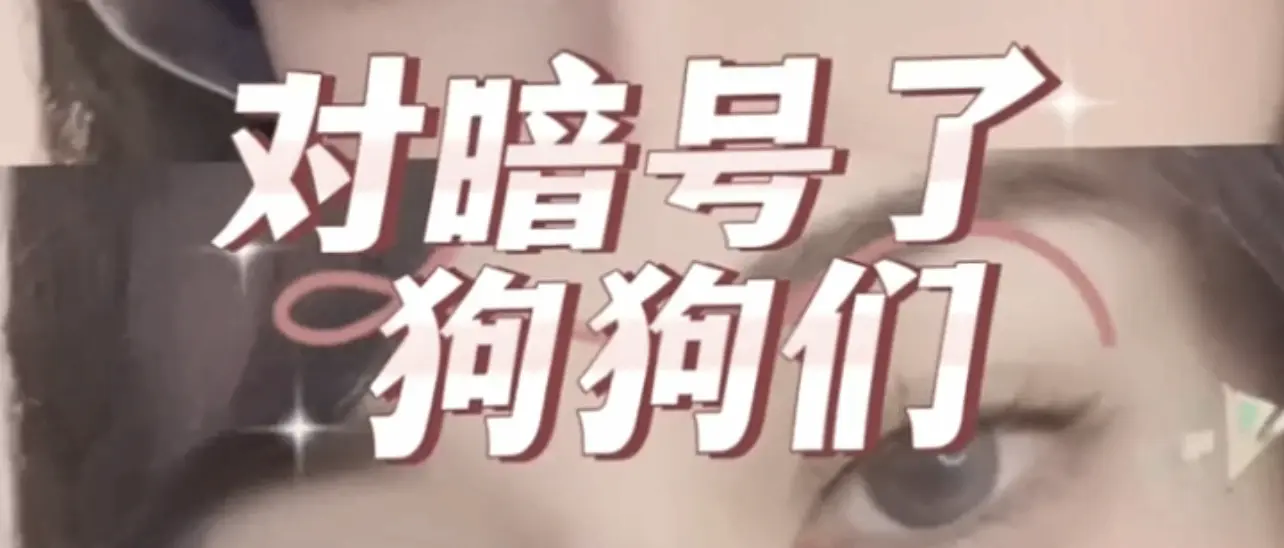 【西檬之家】Sub是什么？解析字母圈新人必备的臣服者指南